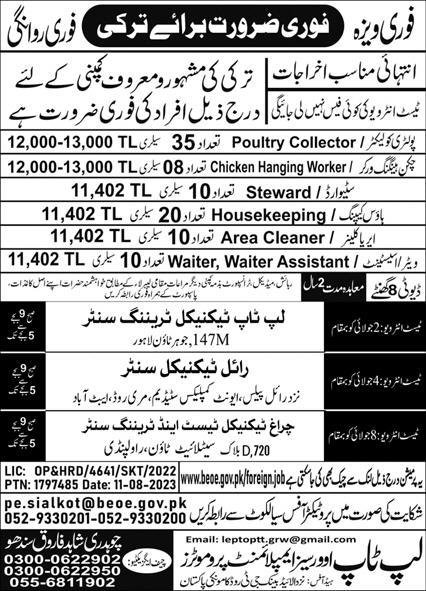 Poultry Collector And Steward Jobs In Turkey