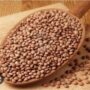 Masoor dal sabat 1kg  sku:jhr
