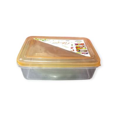 Rectangular Storage Container
