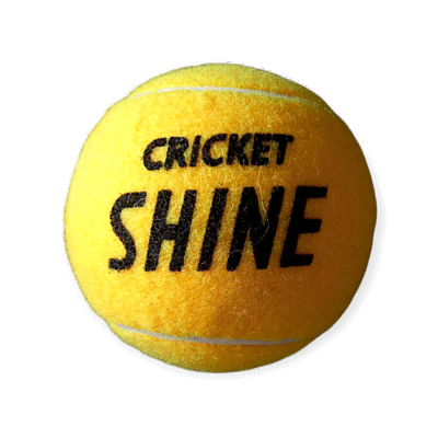 Cricket shine ball