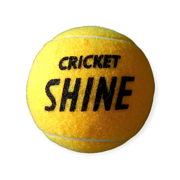 Cricket shine ball