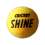Cricket shine ball