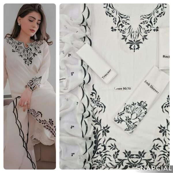 FABRIC DHANAK  WITH WOOL SHAWL  3pcs