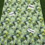 KHADDAR 2PC COLLECTION  ORIGINAL